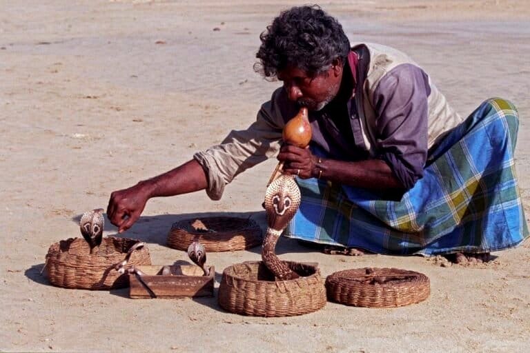 Sri Lanka's vanishing snake charmers hold a heritage of dread and intrigue.