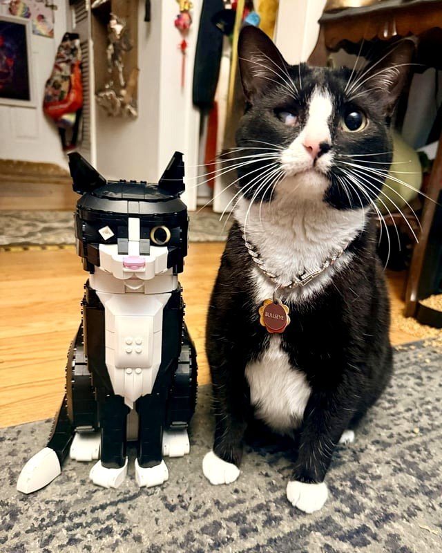 My cat with one eye and his LEGO counterpart