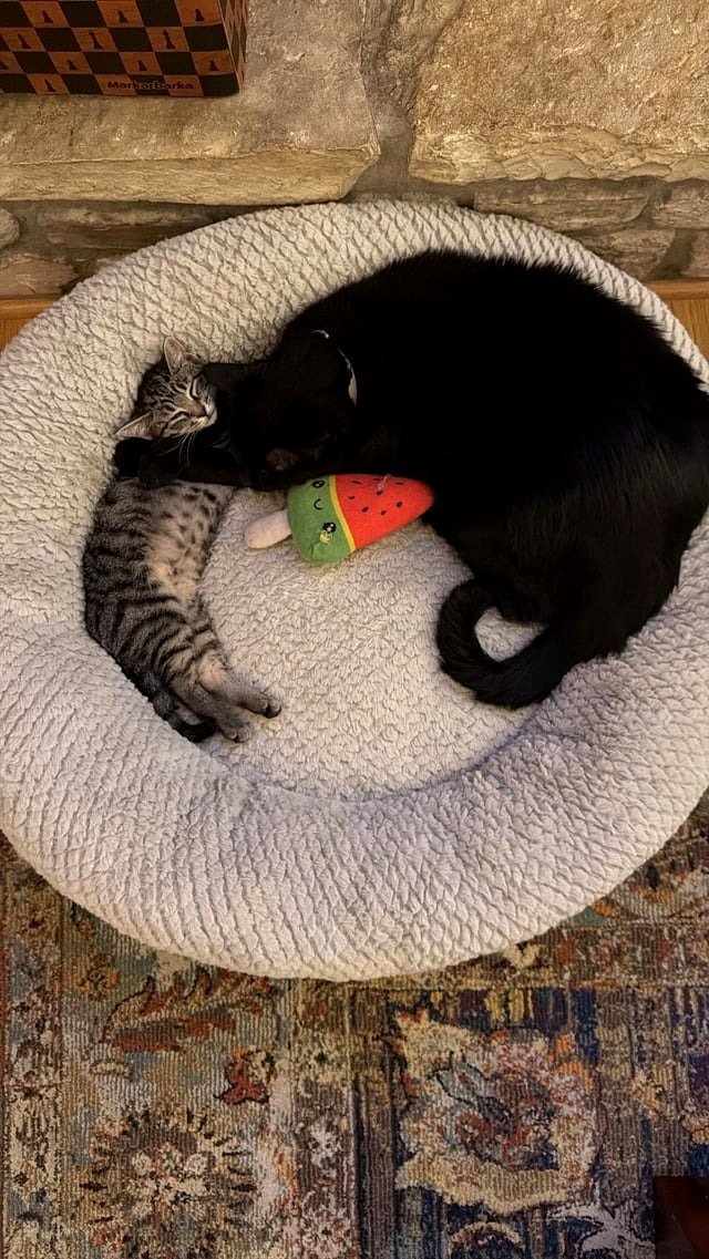 They only met a few weeks back. Now they're best friends.