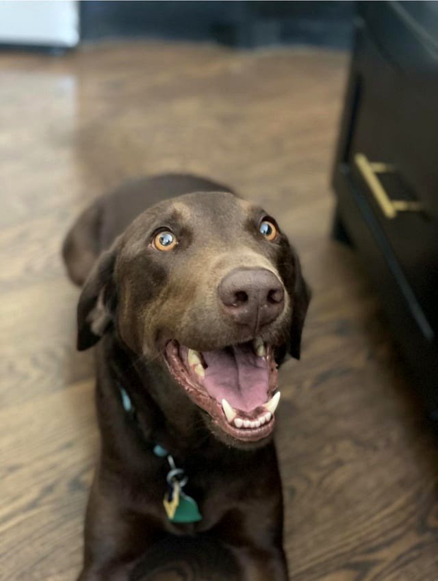 Rolo wishes you a Happy Saturday!