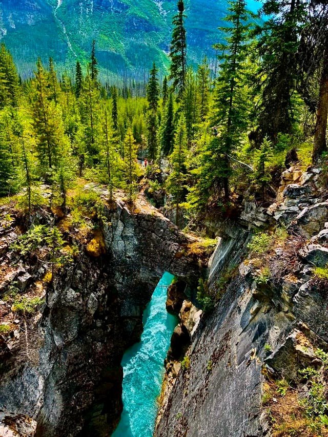 🔥Johnston Canyon located in Banff National Park, Alberta, Canada (OC)