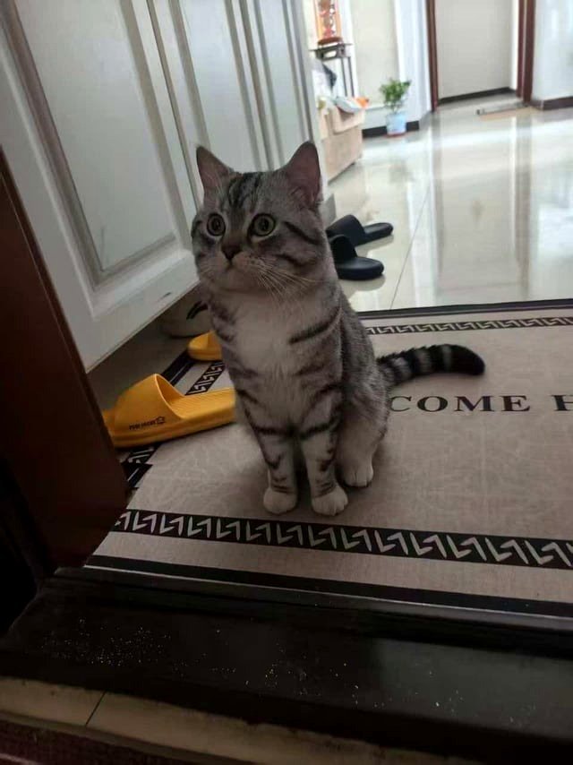 Whenever I return home, it welcomes me at the entrance.