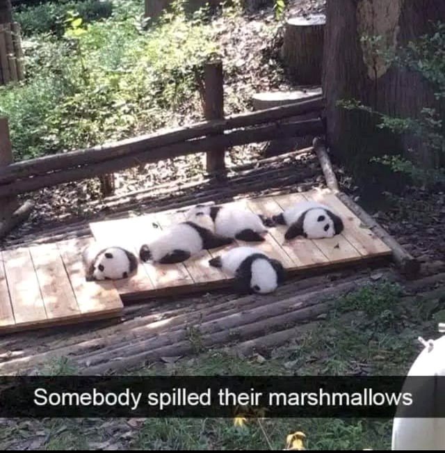 Someone dropped their marshmallows.
