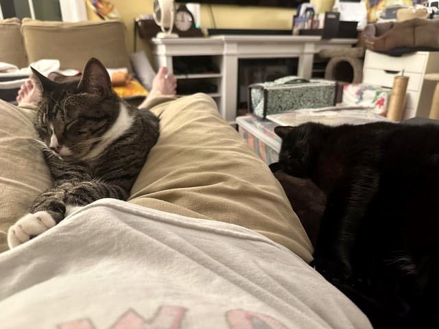 Here's what occurs when my wife and daughter leave me alone at home. I'm stuck.
