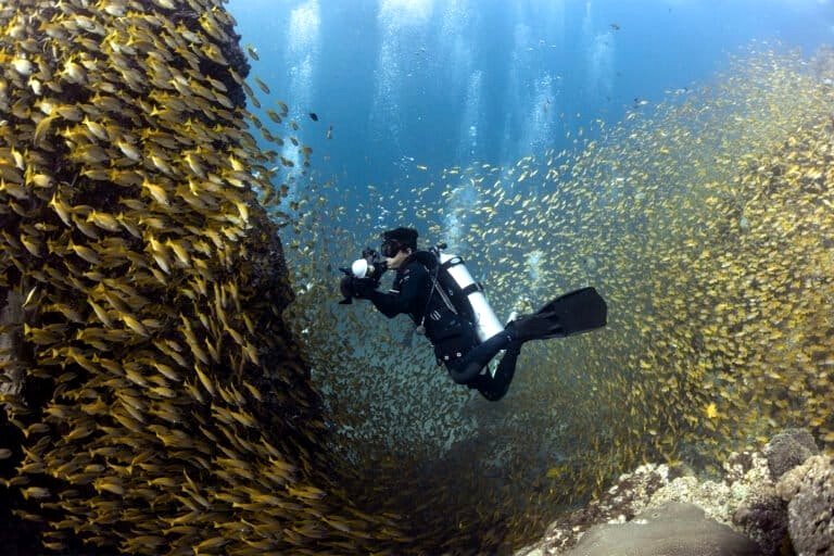 Illuminating the ocean: Conversation with Thai photographer Sirachai Arunrugstichai