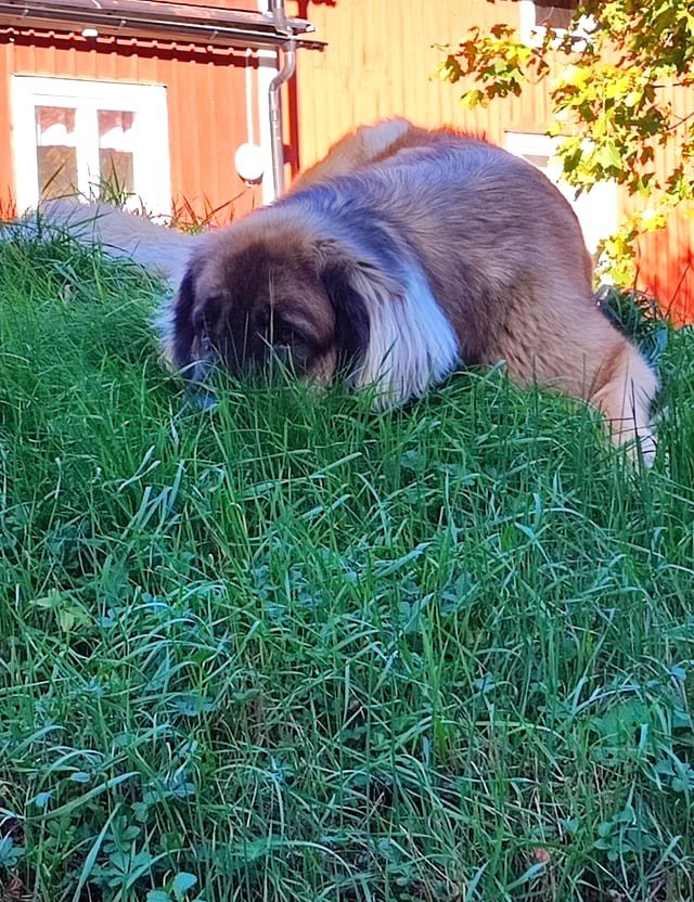 I’m hiding Can’t be found!