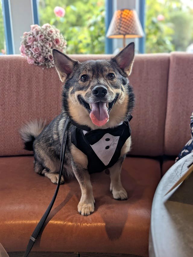 Kuzco as the most attractive boy at the wedding