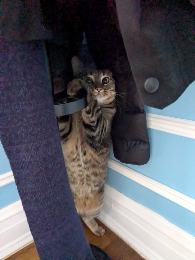 Kira acting a bit silly