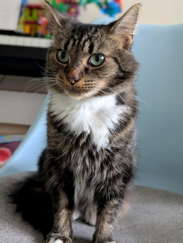 OC - She's back! We brought her home and she's already feeling comfortable.