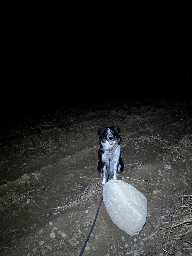 Moxie insisted we bring this rock back home 😂💪🏼🐾💖