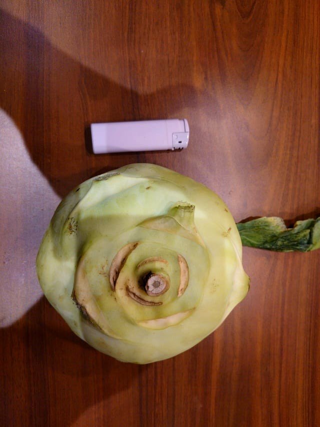 About a Kohlrabi
