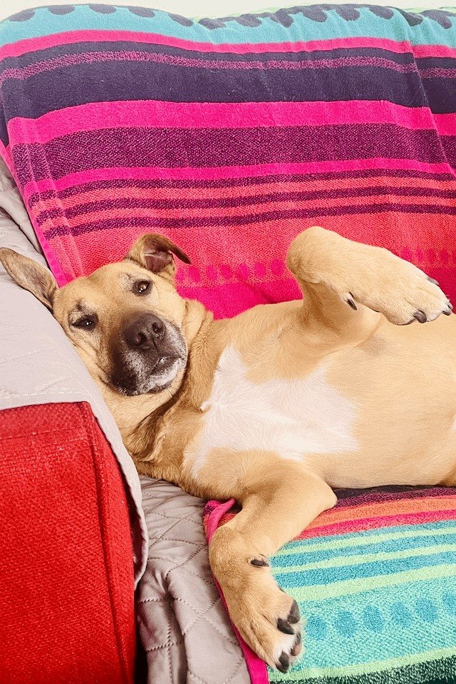 Paint me like one of your French girls, Jack