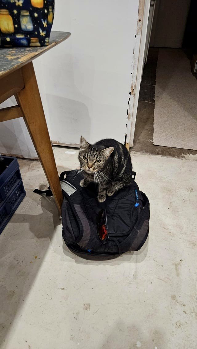 She wishes for me not to go to work.