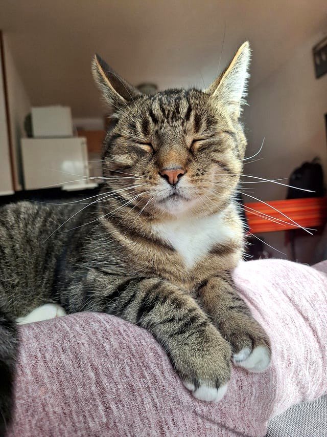 My joyful friend Chuck