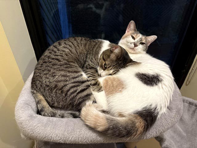 Hugs