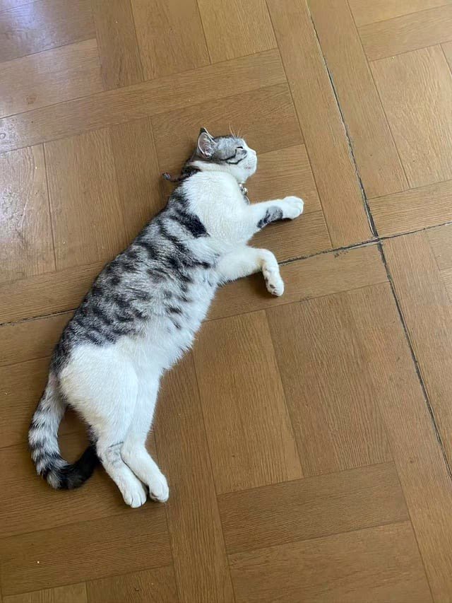 After checking into the hostel, the "receptionist" glanced at me briefly and then dozed off. 1/5 stars.