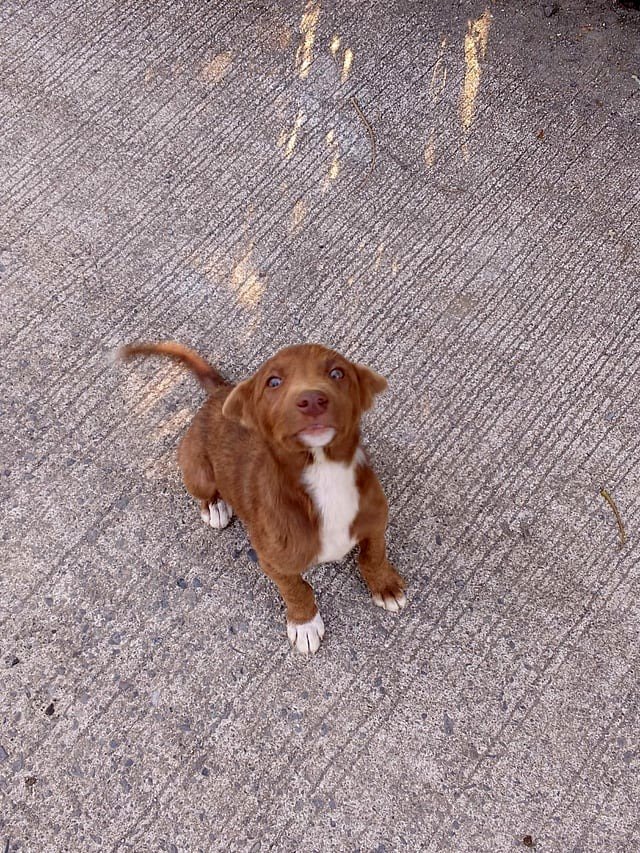Discovered this man near our home🥰