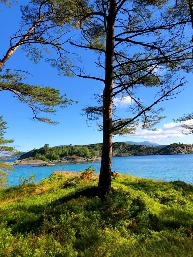 The pristine coastal waters of Norway's fjords