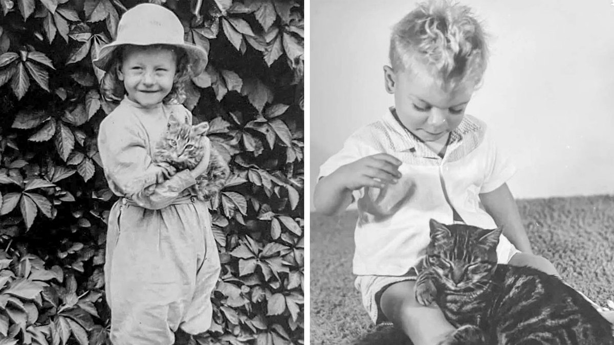 This Page Posted 39 Vintage Photos That Reflect the Enduring Connection Between Kids and Cats (New Images)