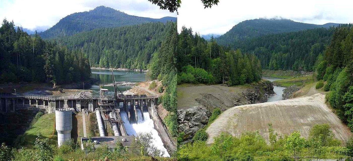 Tribe on the Verge of Regaining 1,100 Ancestral Acres Along the Undammed Elwha River