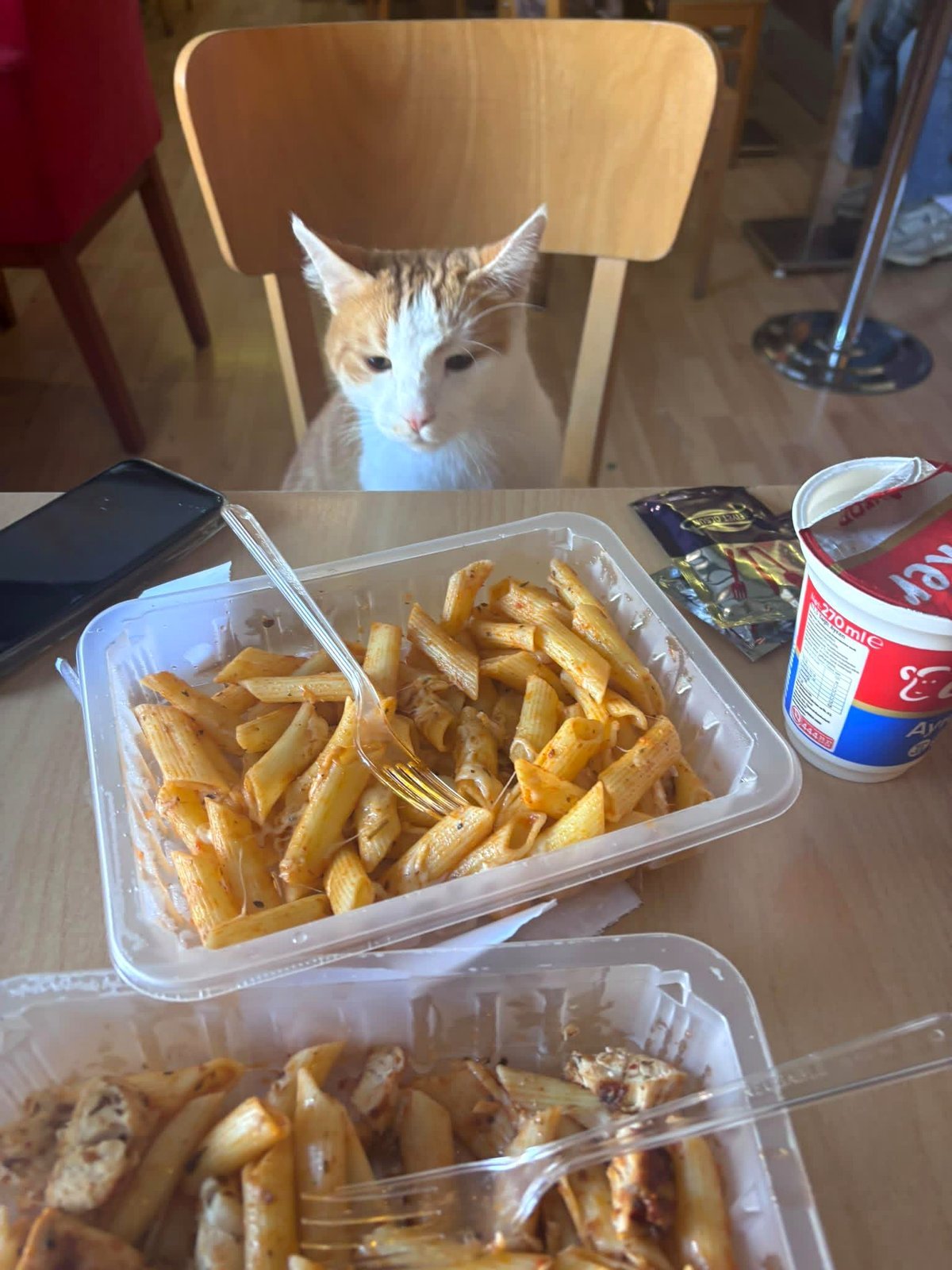 He made me pay on our first date. Should I keep seeing him?
