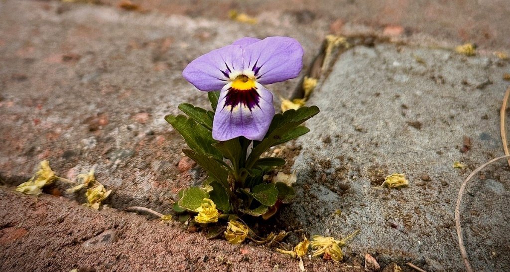 How developing a 'dependency on praise' can prevent you from turning into a grouchy adult