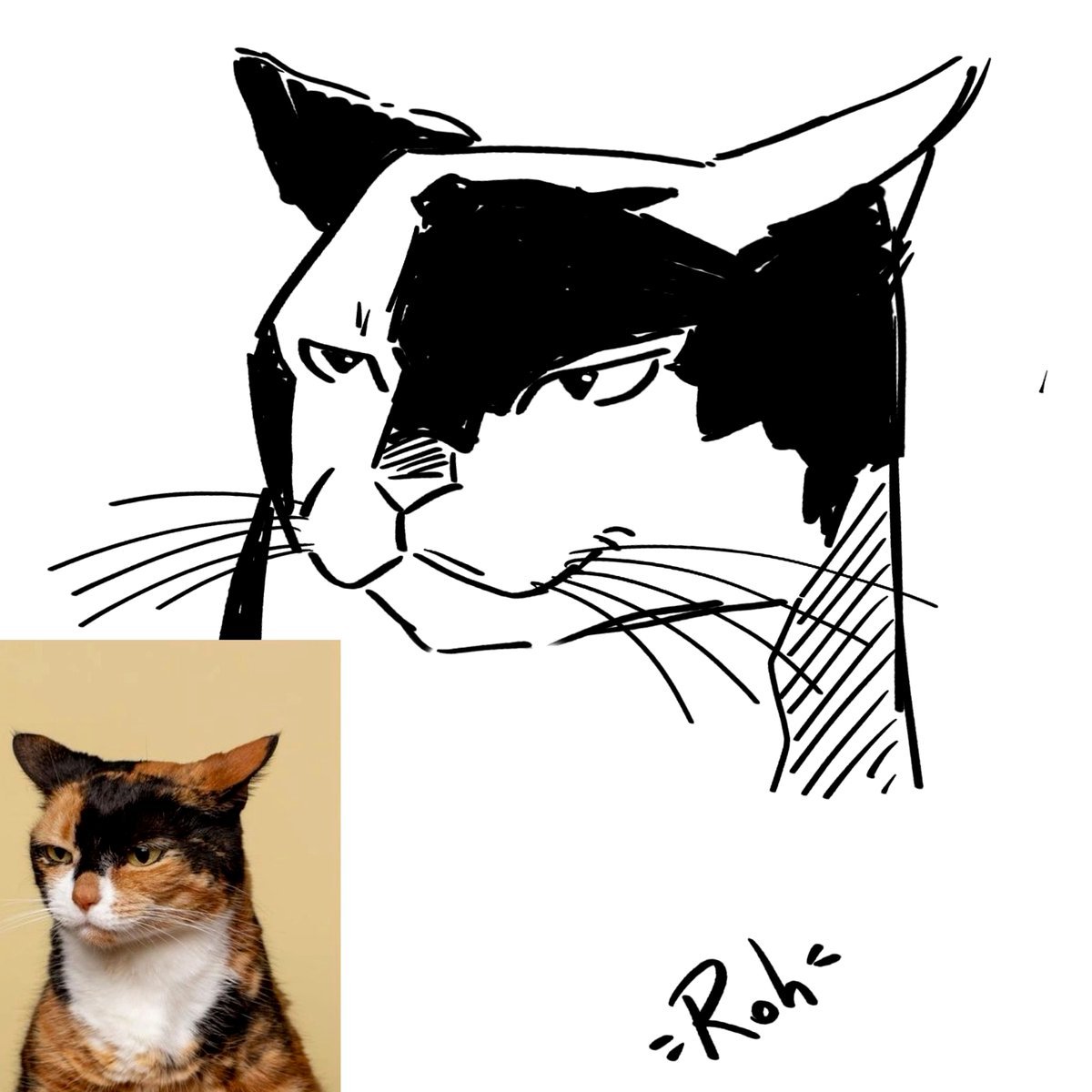 I'll Sketch Your Kitten 😻Free now😻