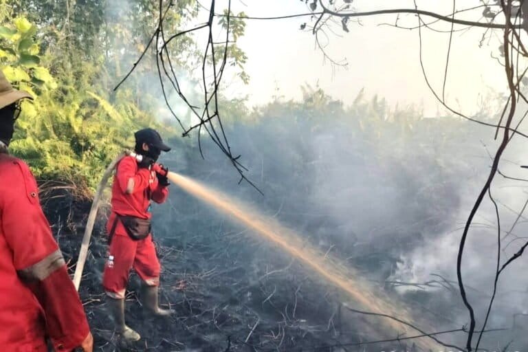 Continuing ignorance': Indonesia criticized for handling of fires and haze