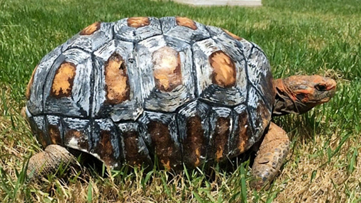 60 Instances of People Utilizing 3D Printers to Make Amazing Creations