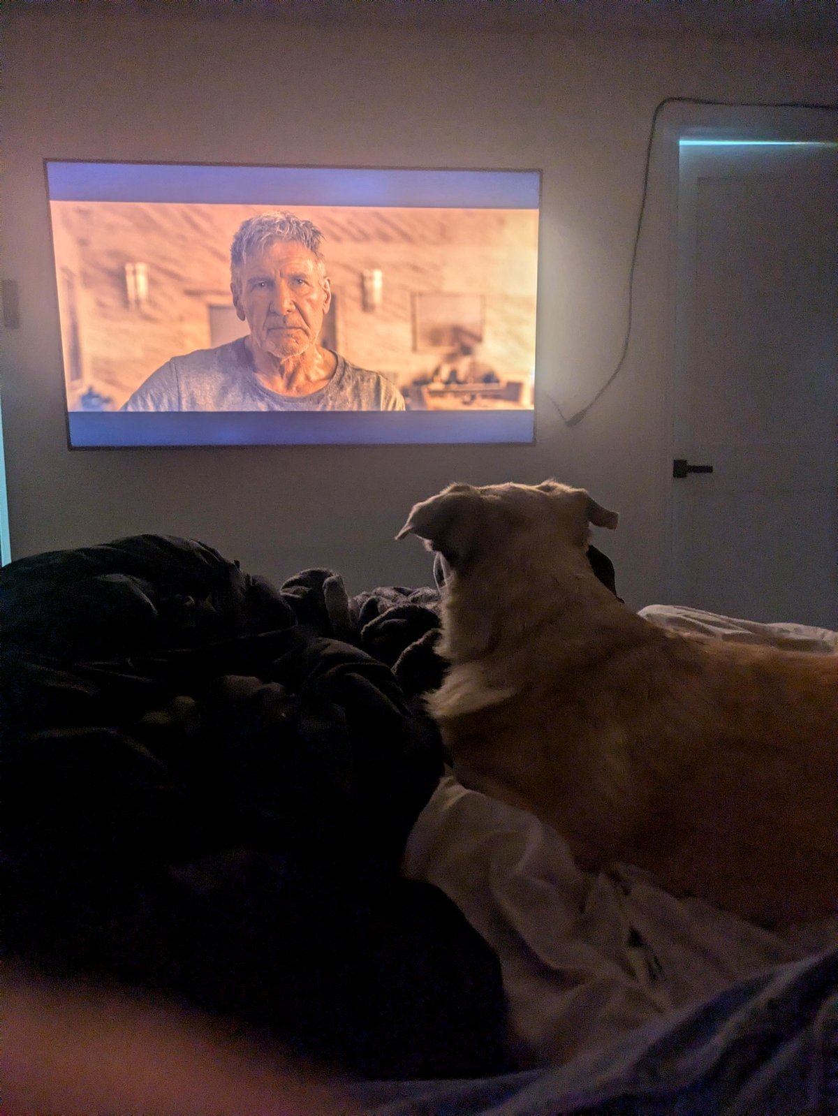 I'm unwell, and Zuko is watching over me as I recover.