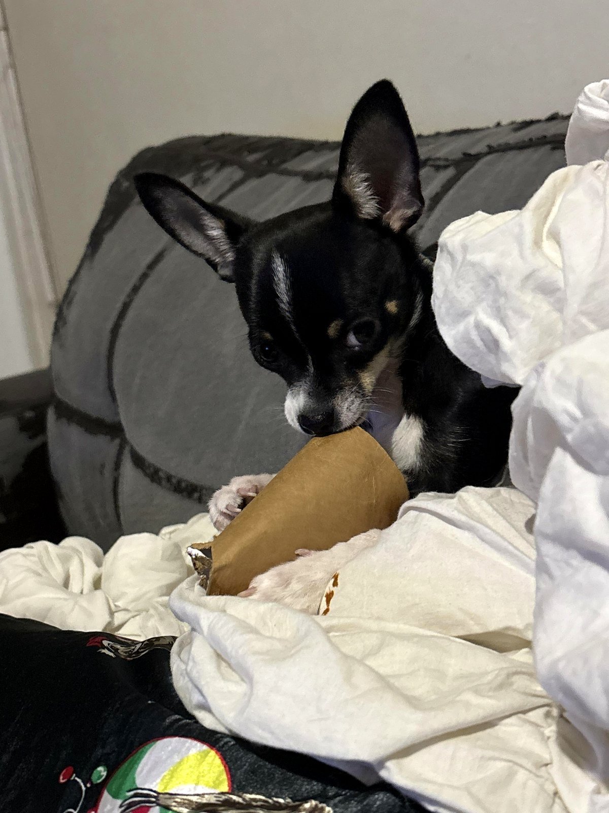 With countless toys available, he picks the toilet roll every time...