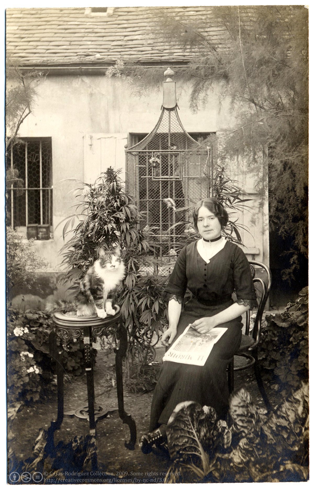 A young woman with her cat, her Cannabis plant, and the August 15, 1915, issue of the French weekly Le Miroir.