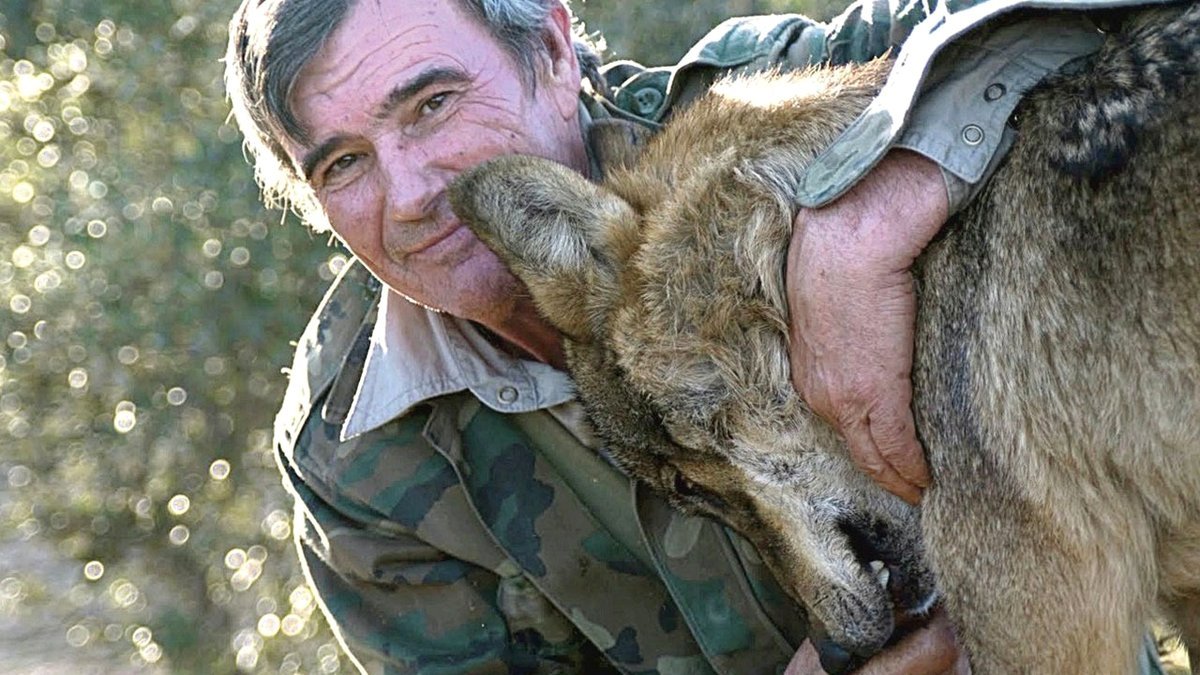 Marcos Rodríguez Pantoja, who was sold as a child and raised by wolves, says goodbye to the world at 80.