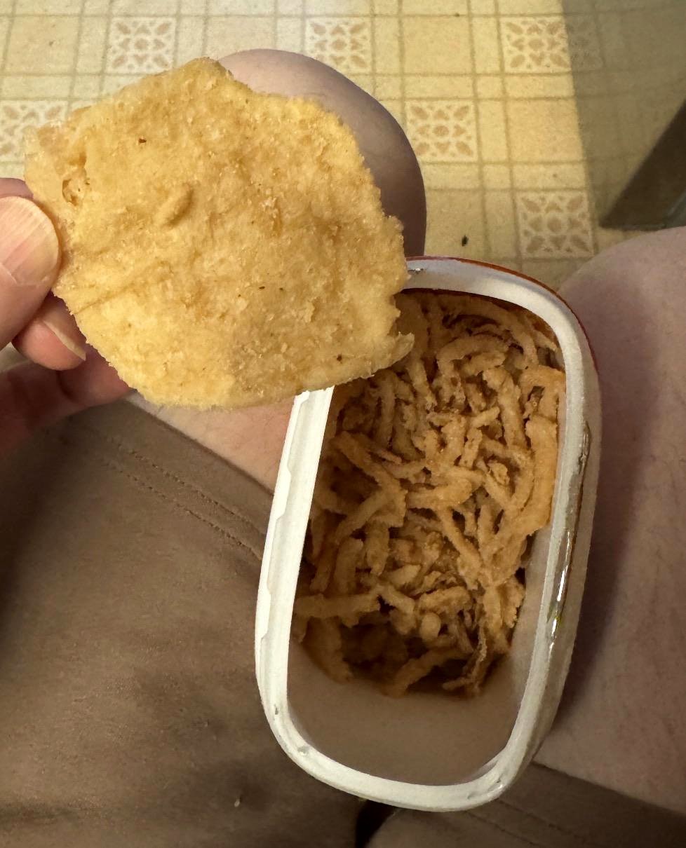 of an onion that is fried