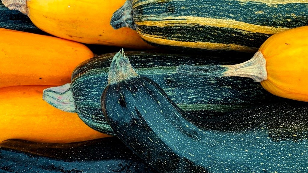 Woman Cultivates Record-Setting Zucchini After Being Disqualified from Contest