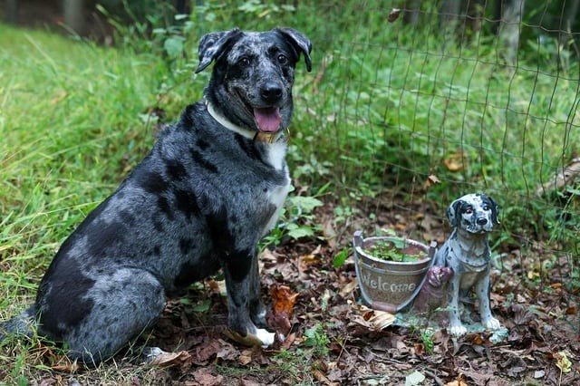Cosmo and her sculpture