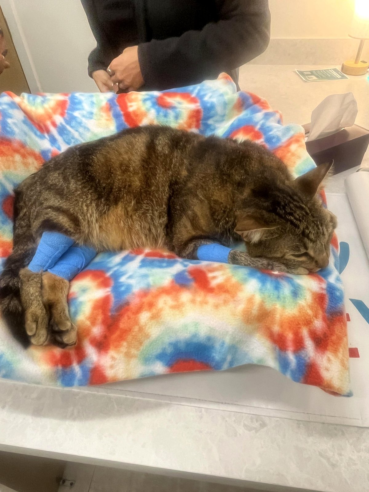 Farewell Max, Mommy adores you