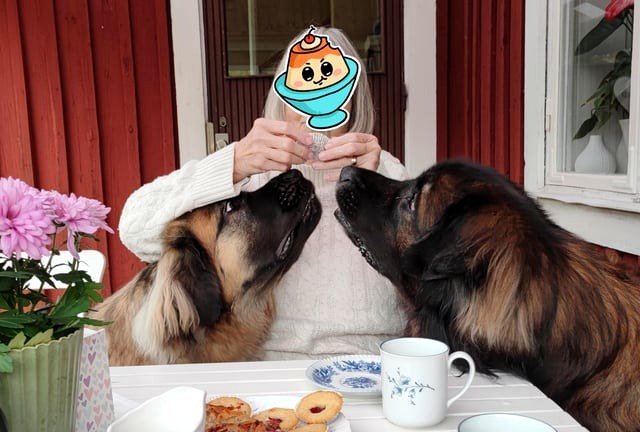 Can we have cookies, grandma?