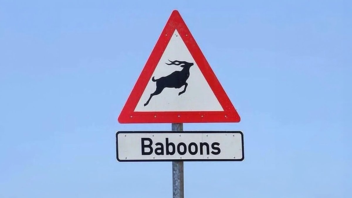 54 Global Signs That Appear to Be Mistakes