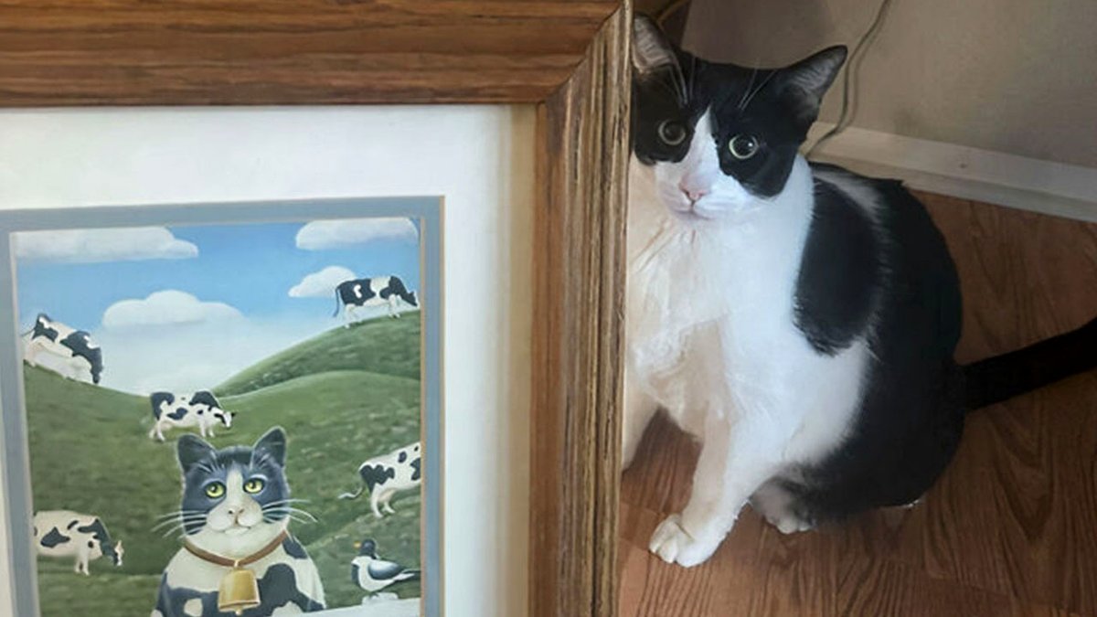 86 Thrift Store Treasures That Made Searching Through Secondhand Items Totally Rewarding