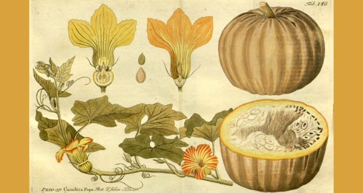 9 pumpkin recipes from the 1800s that are definitely worth reviving this autumn
