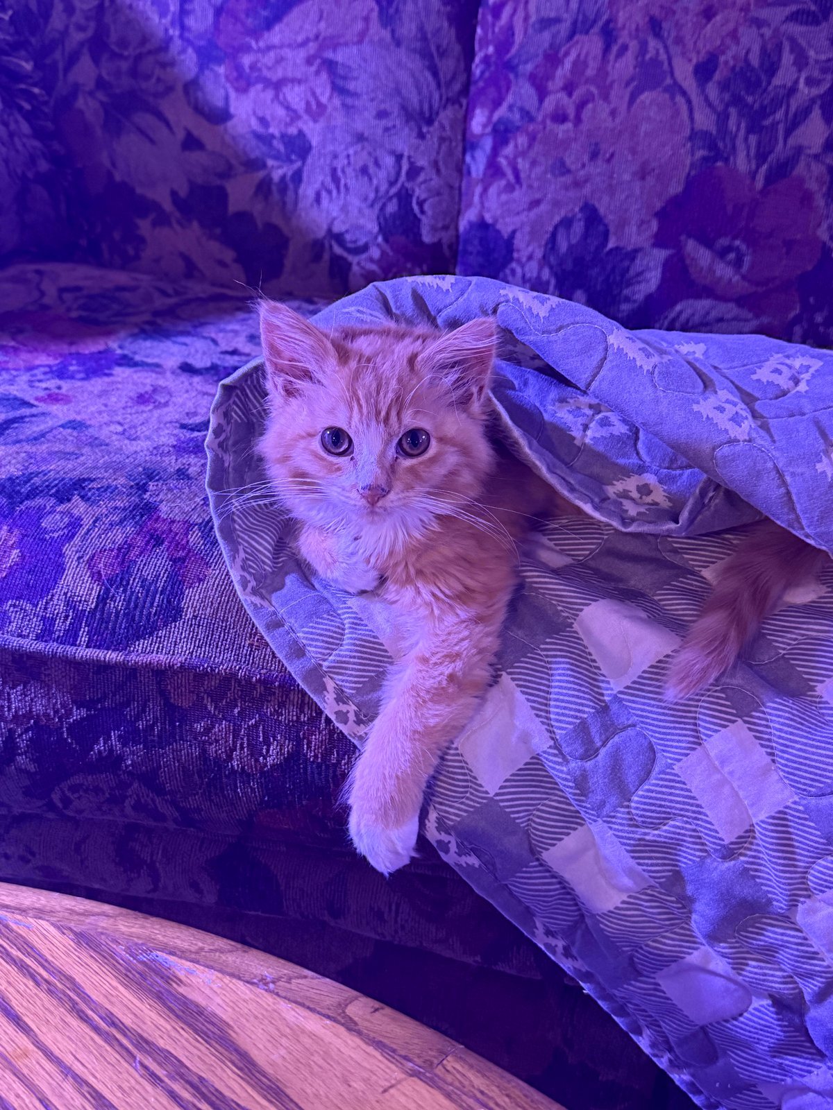 I just wanted to introduce her to everyone.