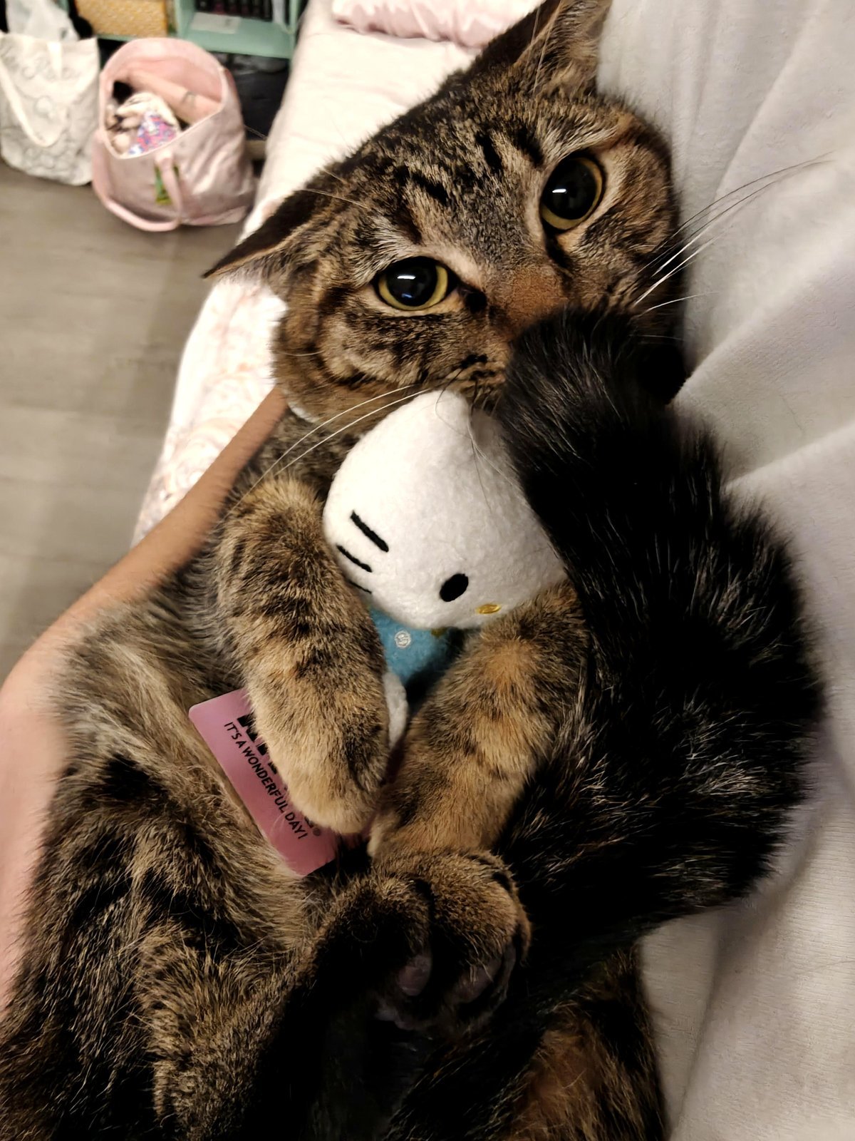 Don't be deceived by the adorableness.