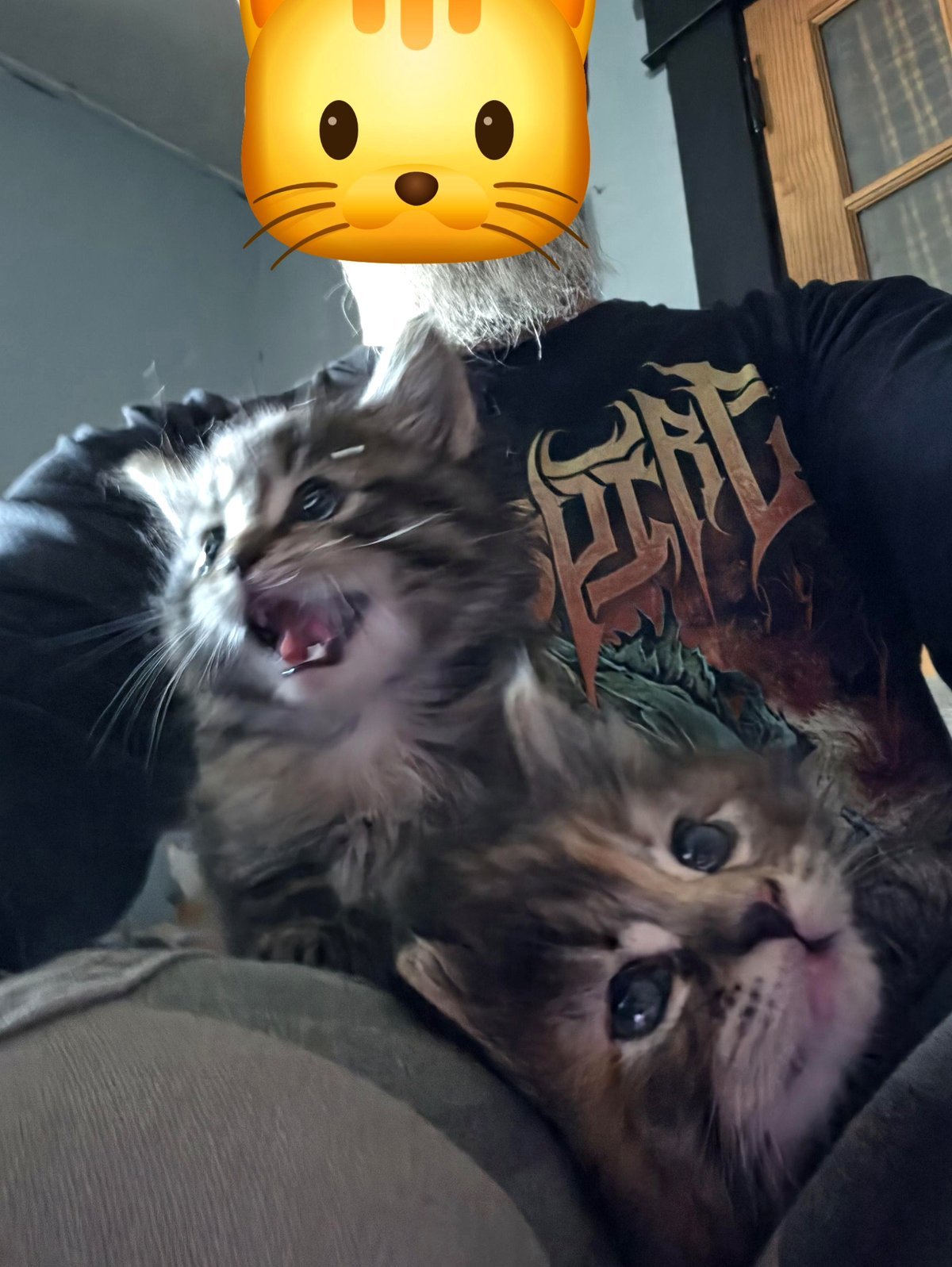 Spouse ultimately agreed. We now have two additional family members.