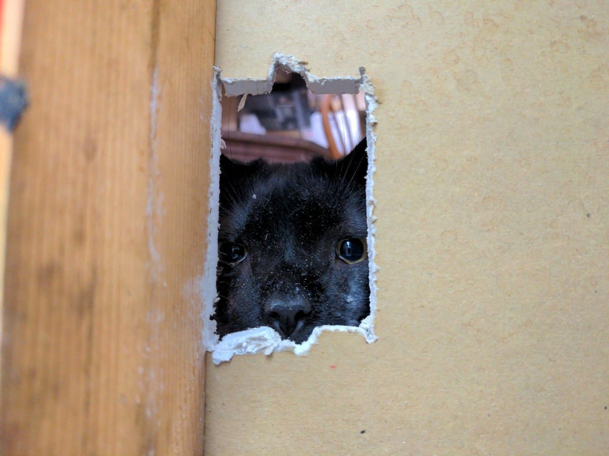 I had just finished cutting a hole for the electrical box when the inspector arrived to review my work.