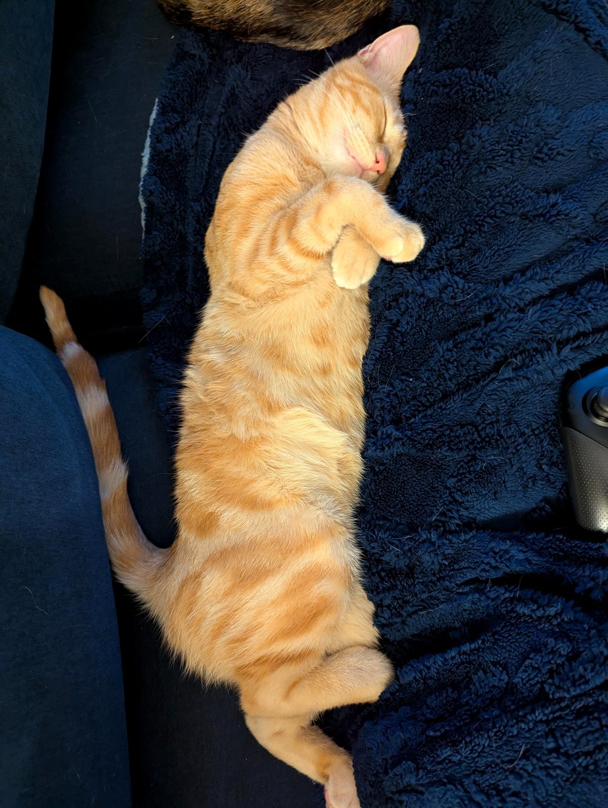 Rusty snuggled up beside me.