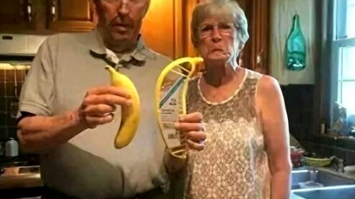 59 Funny and Surprising Amazon Reviews That Outshined the Product (New Images)