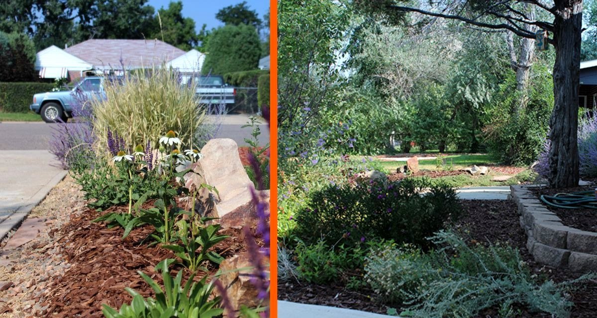 Homeowner amazed after transforming dead lawn with 'Garden In A Box