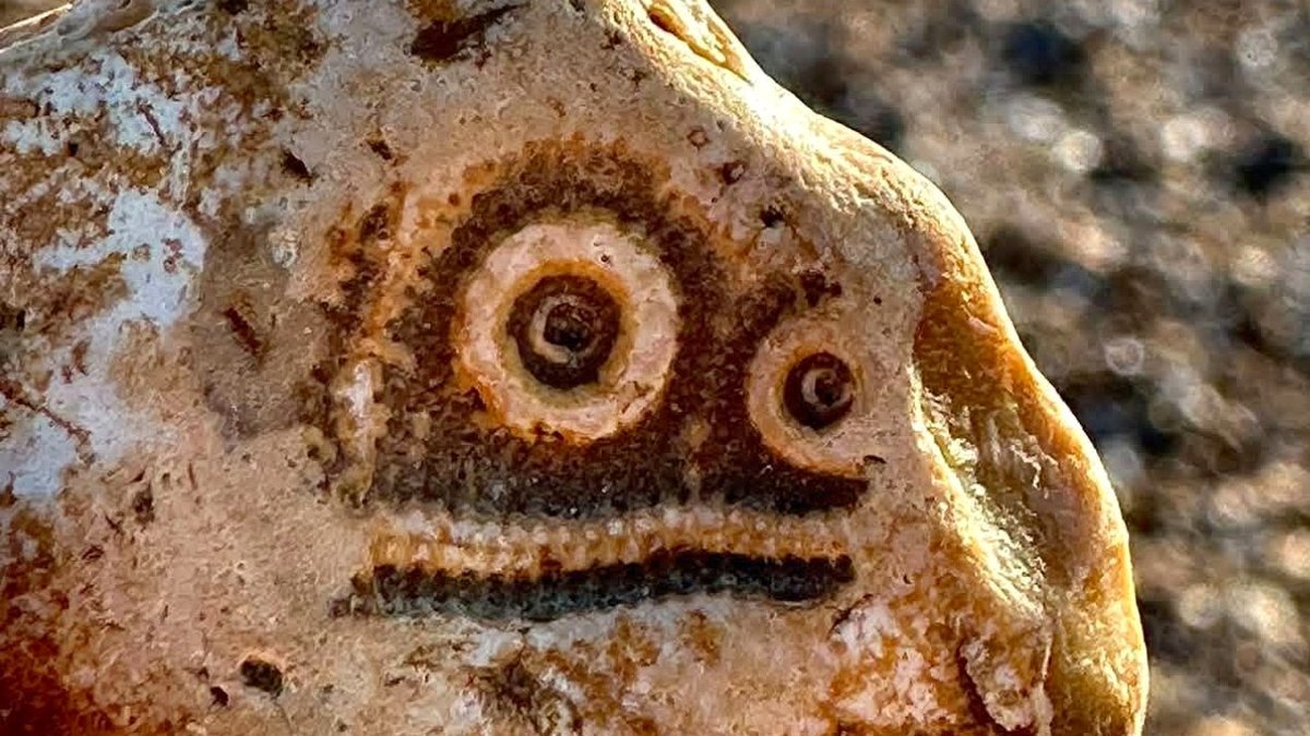 80 Random Items That Seem to Be Looking Directly at You
