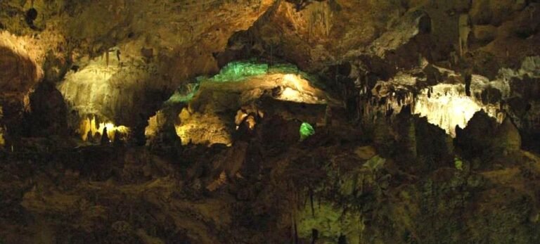 A Cheetos bag was discarded in Carlsbad Caverns, having a ‘world-changing’ impact on the ecosystem.